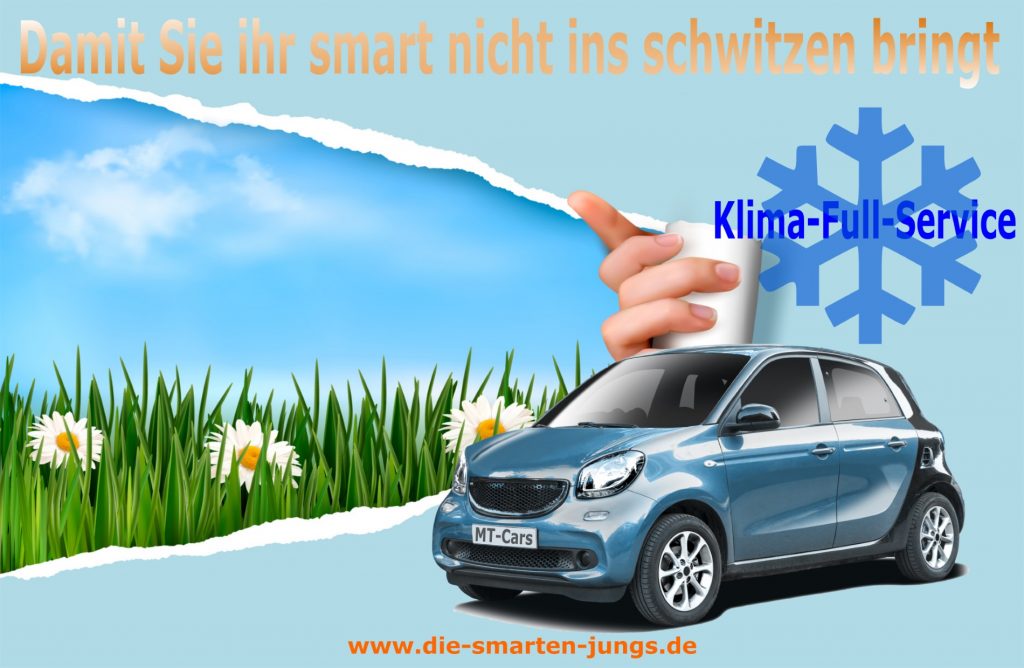 smart neben einer grünen Wiese